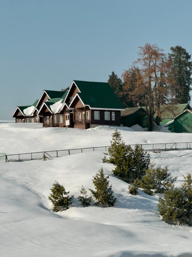 Fresh snow in Gulmarg