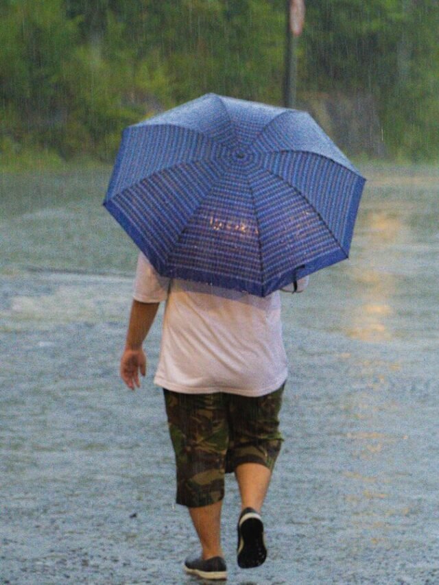 Person walks with umbrella in the rain