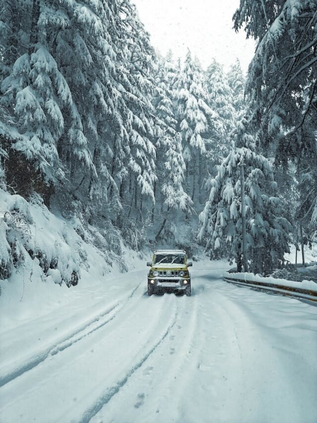 Off-road vehicle navigating a snow-covered forest road surrounded by snow-laden trees.