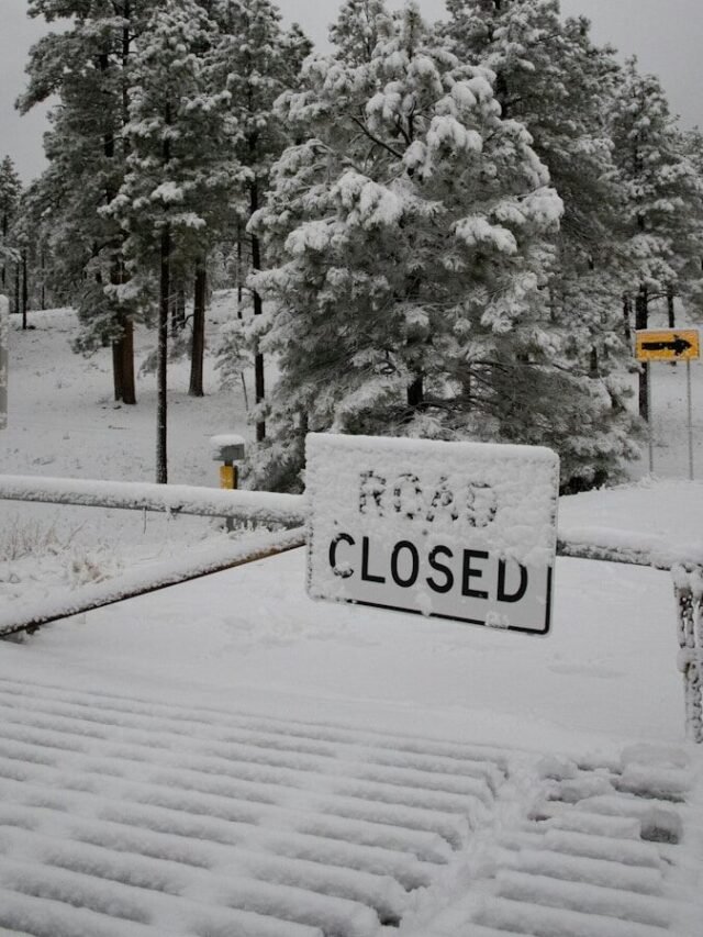 Snow covered trees and a closed road sign