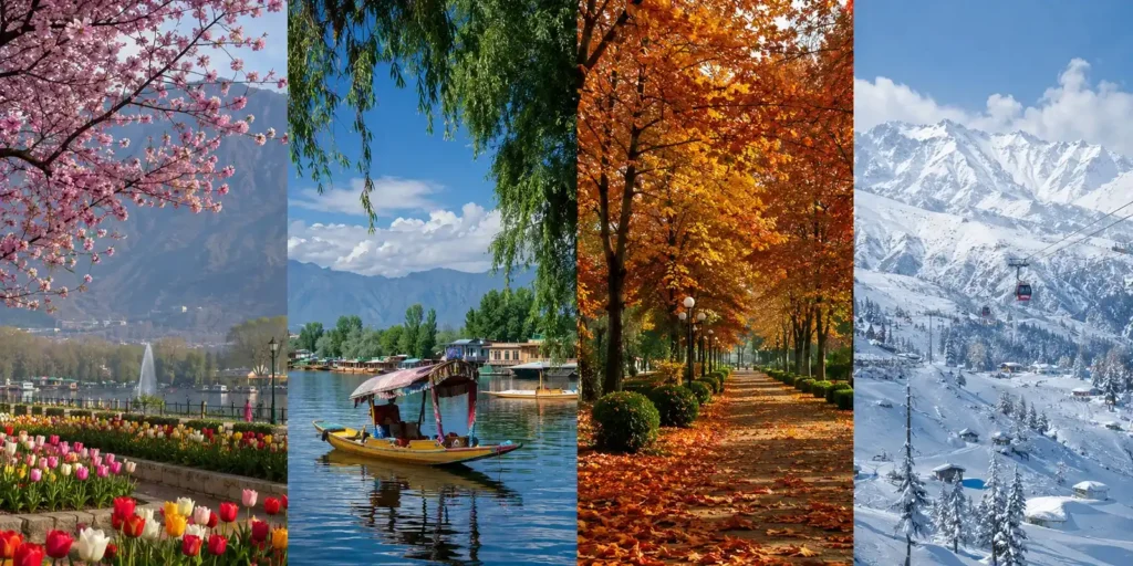 Photorealistic four-panel panorama showing the four seasons of Kashmir: blooming tulip gardens and almond blossoms in spring, a shikara on Dal Lake in summer, golden chinar trees in autumn, and the snow-covered mountains of Gulmarg in winter.